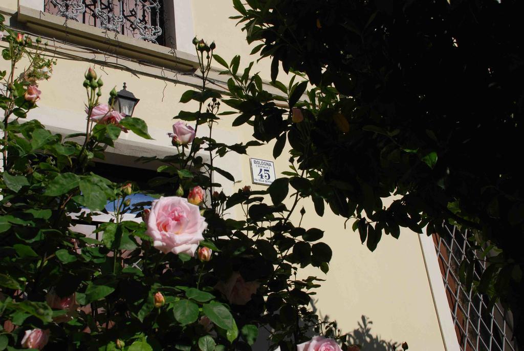 Beverara B&B - Bologna — Photos 2